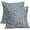 Blue, variant on Dusty Blue Floral Block Print Pillow Covers 18x18 Inch Set of 2, Vintage Cottage Style Navy Beige Decorative Throw Pillow Cases Outdoor Cushion Covers Rustic Farmhouse Decoration Sofa Couch Bed Decor