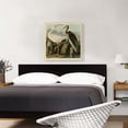 thumbnail image 2 of ARTCANVAS White Ibis Canvas Art Print by John James Audubon - Size: 26" x 26" (1.50" Deep), 2 of 9