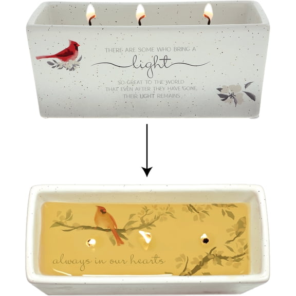 Light Remains 12 oz - 100% Soy Wax Reveal Triple Wick Candle Scent: Tranquility