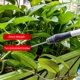 thumbnail image 3 of Pulverizador eléctrico ANGGREK automático con agarre cómodo para riego de plantas 42 cm, 3 of 8