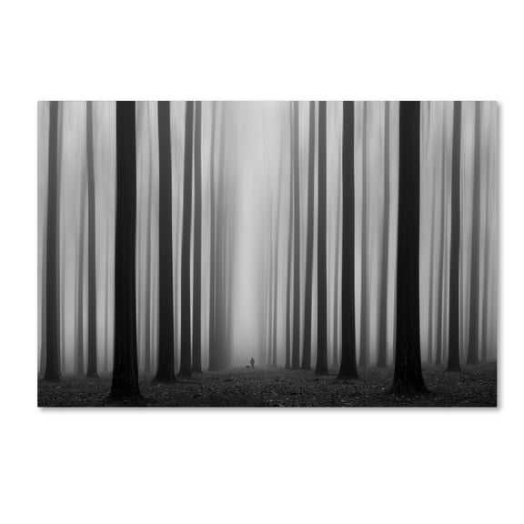 Jochen Bongaerts 'Labyrinth' Canvas Art