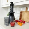 thumbnail image 2 of Cuisinart Slow Juicer, Gray, 2 of 7