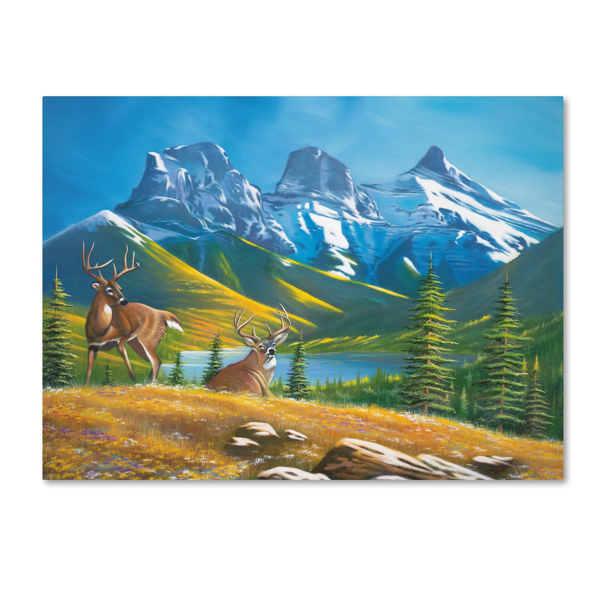 Trademark Fine Art 'Buck Country 2' Canvas Art by Geno Peoples