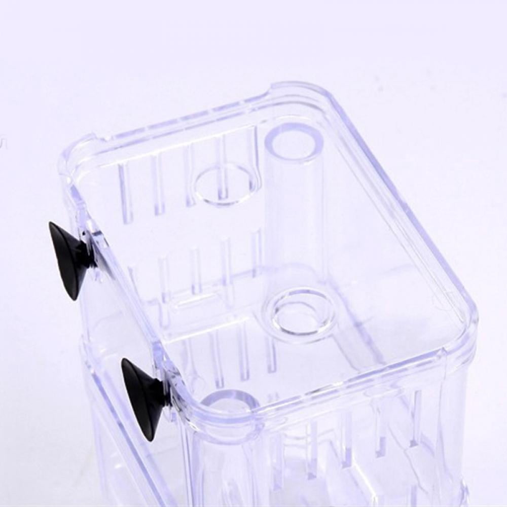 floating breeder box