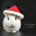 thumbnail image 2 of Cute Pure Cotton Rabbit Clothes Bunny Christmas Dress Costume with Harness Accessory M Code Christmas, 2 of 7