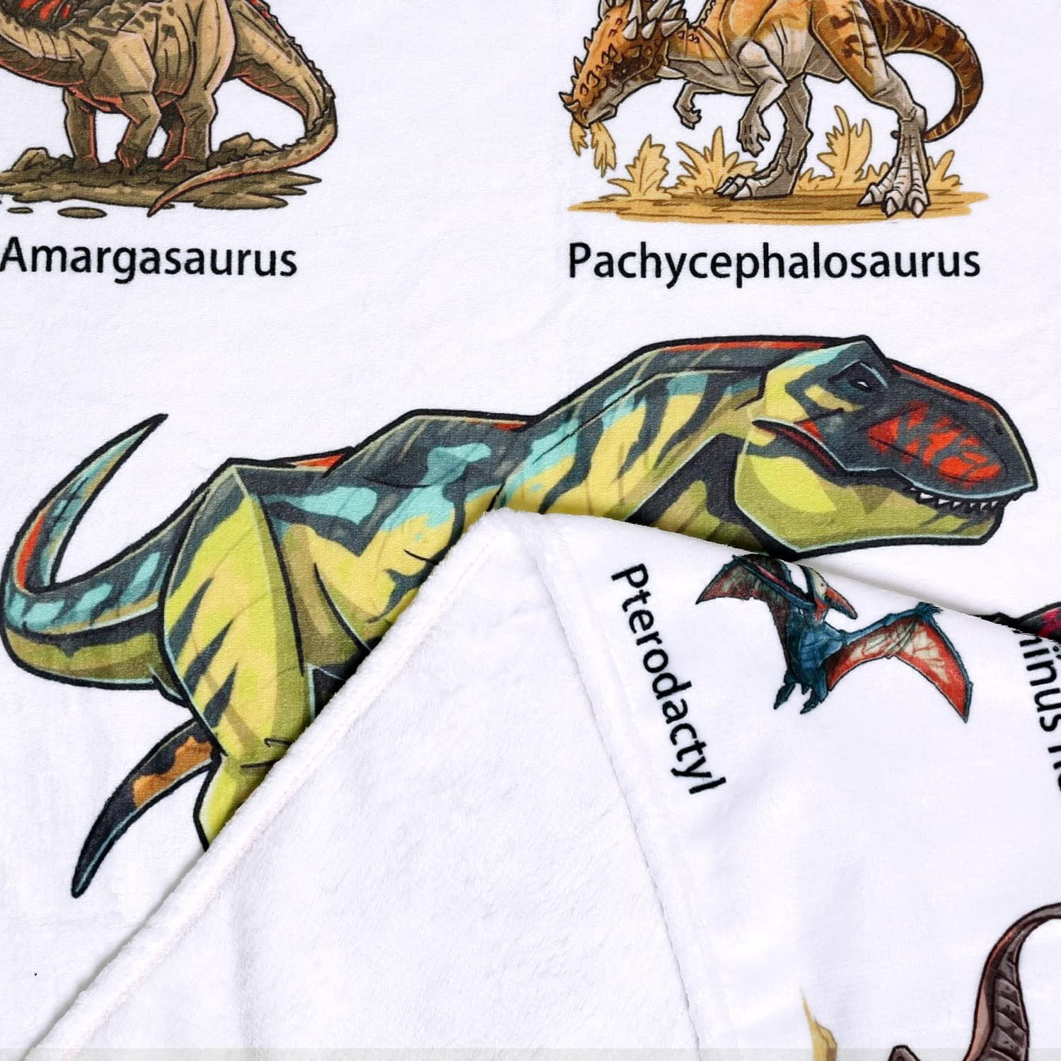 Dinosaur Blanket for Boys Teens - Jurassic Dino Park World Kids Sofa Bed Blanket - Soft Cozy Flannel Throw Blanket Funny Dinosaur Gifts for Jurrassic Dinosaur Fans 50 x 60 Inch