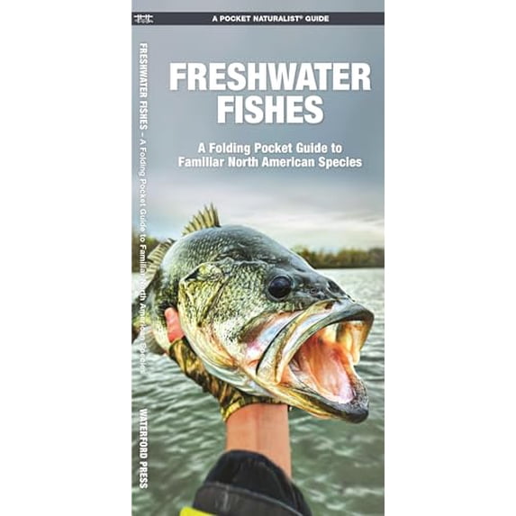 Pre-Owned Freshwater Fishes (Nature Observation North America), 9781583551837, 1583551832, Paperback, 1 edition