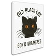 thumbnail image 2 of Trademark Fine Art 'Old Black Cat' Canvas Art by Marcee Duggar, 2 of 3