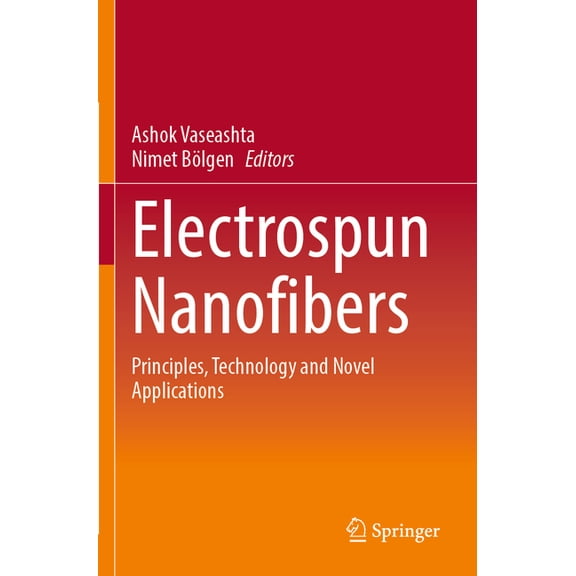Electrospun Nanofibers: Principles, Technology and Novel Applications, (Paperback)