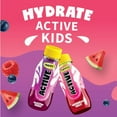 thumbnail image 2 of Mott's Active Watermelon Burst Juice Bottles, 2 of 5
