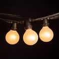 thumbnail image 3 of 100 Foot C9 Commercial String Light Black Wire With G50 White Satin Pearl Bulbs, 3 of 7