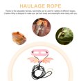 thumbnail image 2 of 5Pcs Bearded Dragon Adjustable Harness and Leash Reptile Lizard Leash with Wing, 2 of 8