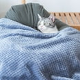 thumbnail image 3 of Pet Blanket Warm Soft Water Wiggler Pet Bath Fuzzy Blanket Thicken Pet Pethouses Kits for Outdoors Hanging Fleece Blanket Sleep Mat Metal Outdoor Decorations for House Pad for Dogs and Cats, 3 of 4