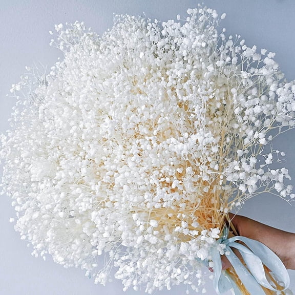 3500 Dried Baby's Breath Flowers, Ivory White Gypsophila Bulk Bouquet, 17" | Real Fluffy Appearance flowers for bouquets, wedding décor, wreath making, vase styling, floral crafts and home