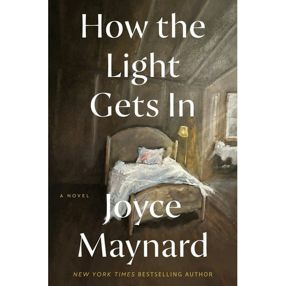 Pre-Owned How the Light Gets in (Hardcover) 006239830X 9780062398307