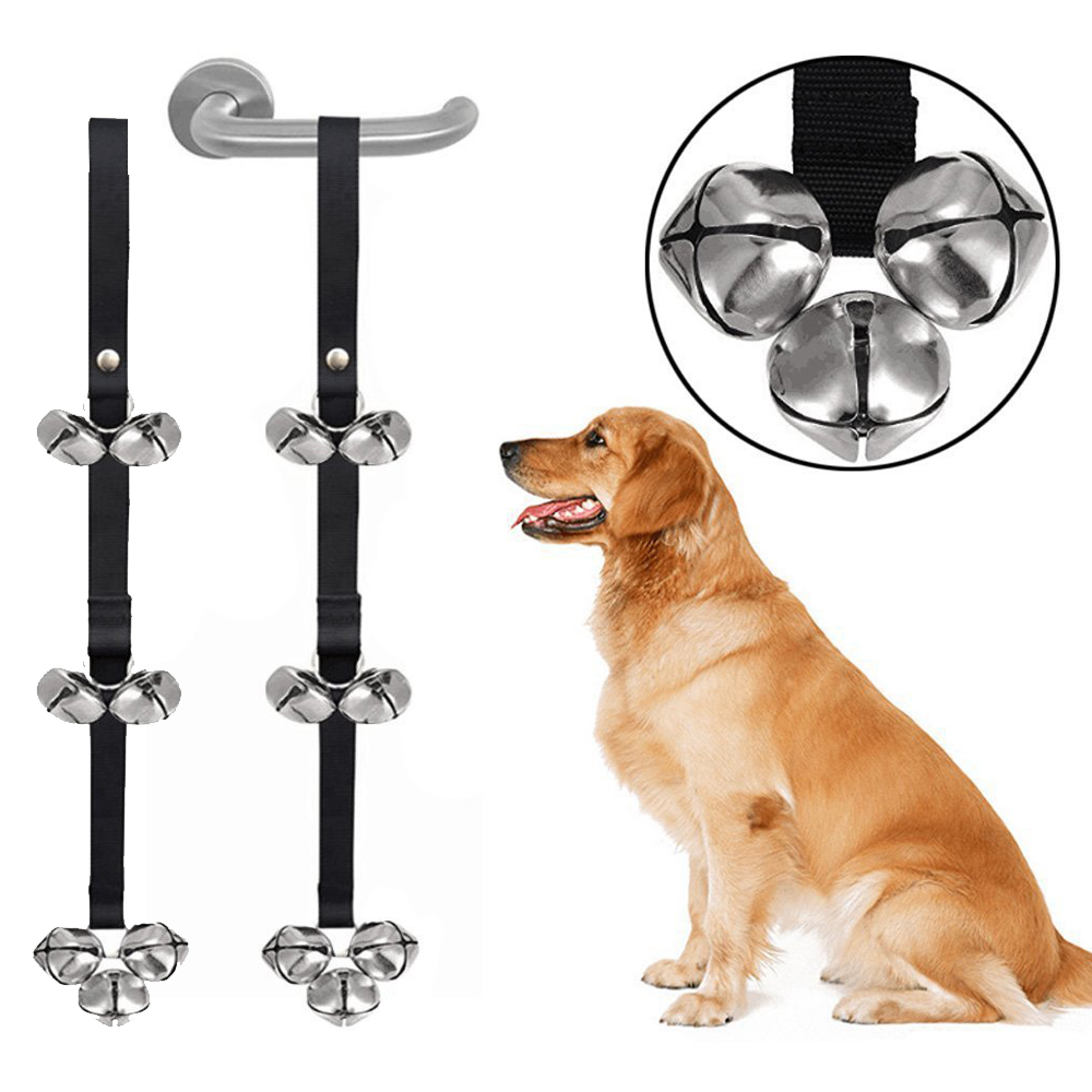 How Do You Bell Train A Puppy