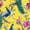 Color 2, variant on Peel and Stick Wallpaper Exotic Peacock Tropical Foliage Golden Fruits Birdcage Wall Mural 23.6in x 9.8ft Self Adhesive Removable Wall Paper Renter Friendly Wallpaper for Nursery Bedroom Cabinets