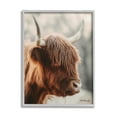 thumbnail image 4 of Stupell Industries Calm Highland Cow Cattle Portrait Horns Photography Photograph Gray Framed Art Print Wall Art, Design by Dakota Diener, 4 of 5