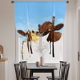 thumbnail image 3 of Brown Cows Balloon Curtains for Living Room/French Door, Country Elegant Farmhouse Modern Art Tie Up Curtains 63 Inch Length Energy Saving Kitchen Curtains Shades for Windows 42"x63", 3 of 8