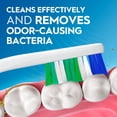 thumbnail image 2 of Oral-B Toothbrush Pack, Essential Clean Manual Toothbrushes, Soft Bristles, 6 Count, 2 of 13