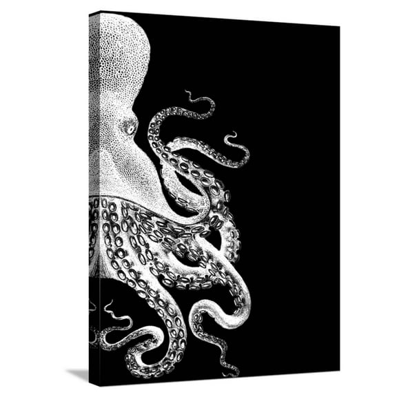 Art.com Octopus Black and White b Stretched Canvas Print Wall Art by Fab Funky, 18" x 24"