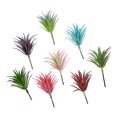thumbnail image 4 of Coofit Artificial Succulent Plastc Faux DIY Succulent Plant Unpotted Succulent for Home, 4 of 10