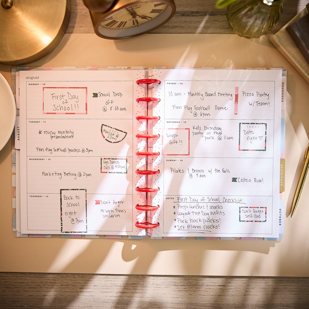 Happy Planner Strawberry Picnic Dated 12-Month Planner, July 2026 – June 2027, Classic Size, Horizontal Layout, Disc-Bound, 3 Bonus Months, 2 Sticker Sheets, 7" x 9.25"
