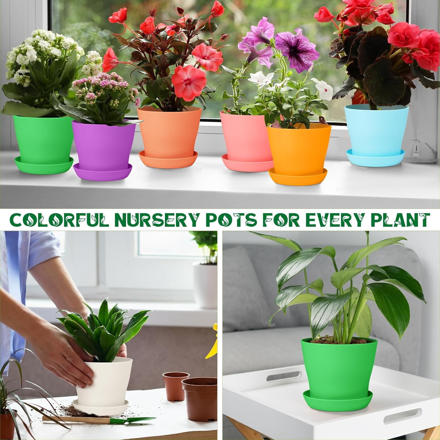 GIXUSIL Colorful 4-inch Indoor Planters: 8-Pack with Drainage & Saucer | Decorative Nursery Pots for Succulents, African Violets & Small Flowers