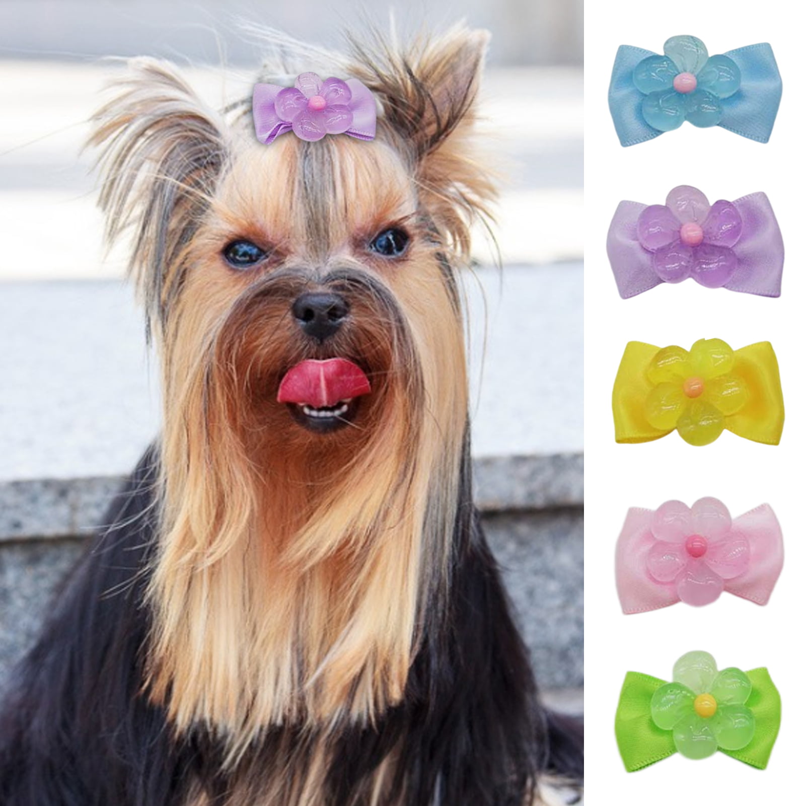 Wholesale Pet Dog Cat Hair Bows Colorful Rubber Bands Colored Top