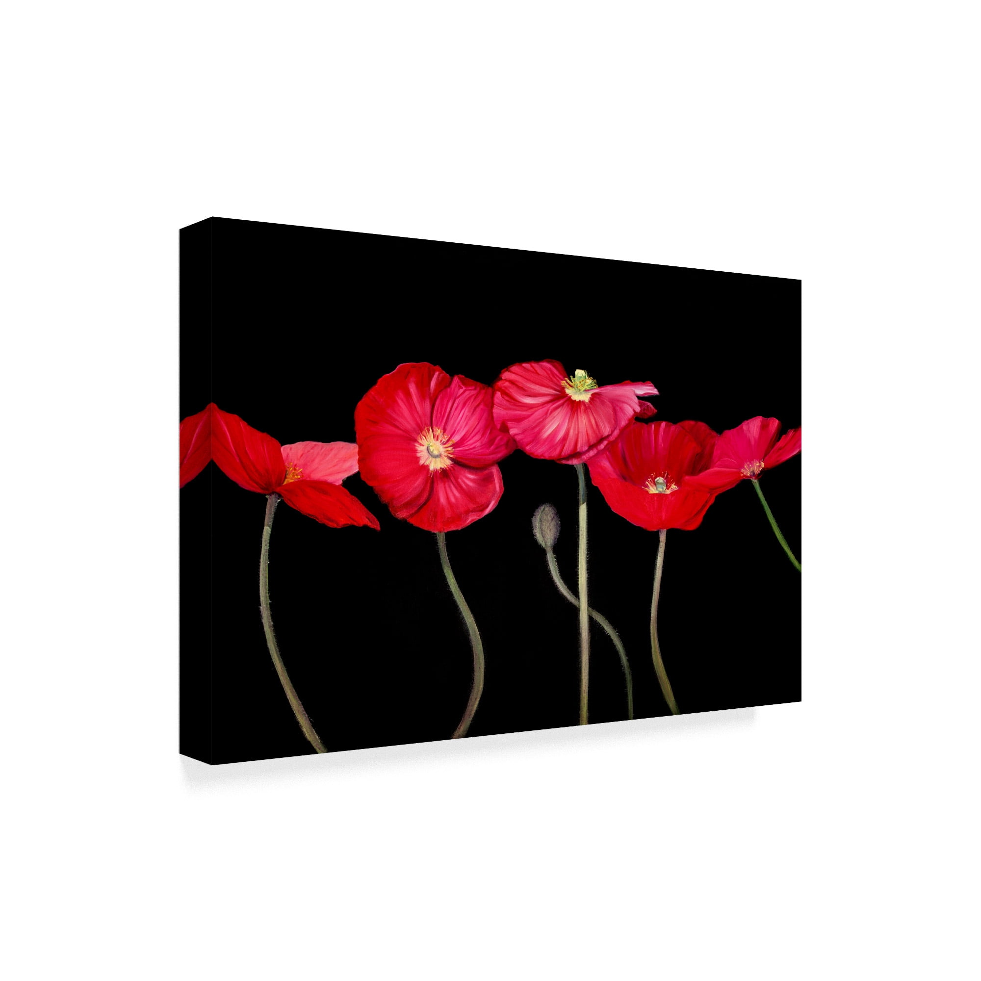 Trademark Fine Art 'Dramatic Poppies' Canvas Art by Sandra Iafrate
