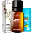 thumbnail image 1 of Aceite esencial de ciprés Gya Labs 10 ml para aromaterapia, 1 of 6