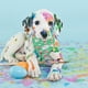 thumbnail image 5 of Bufanda de Pascua de dos caras para perros y gatos | Bandana triangular de licra multicolor | Accesorio elegante y duradero para mascotas | Babero festivo y servilleta para la hora de comer par, 5 of 5