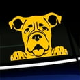 thumbnail image 1 of Peeking Boxer - Vinyl Car Decal - Choose Color - [YELLOW], 1 of 1