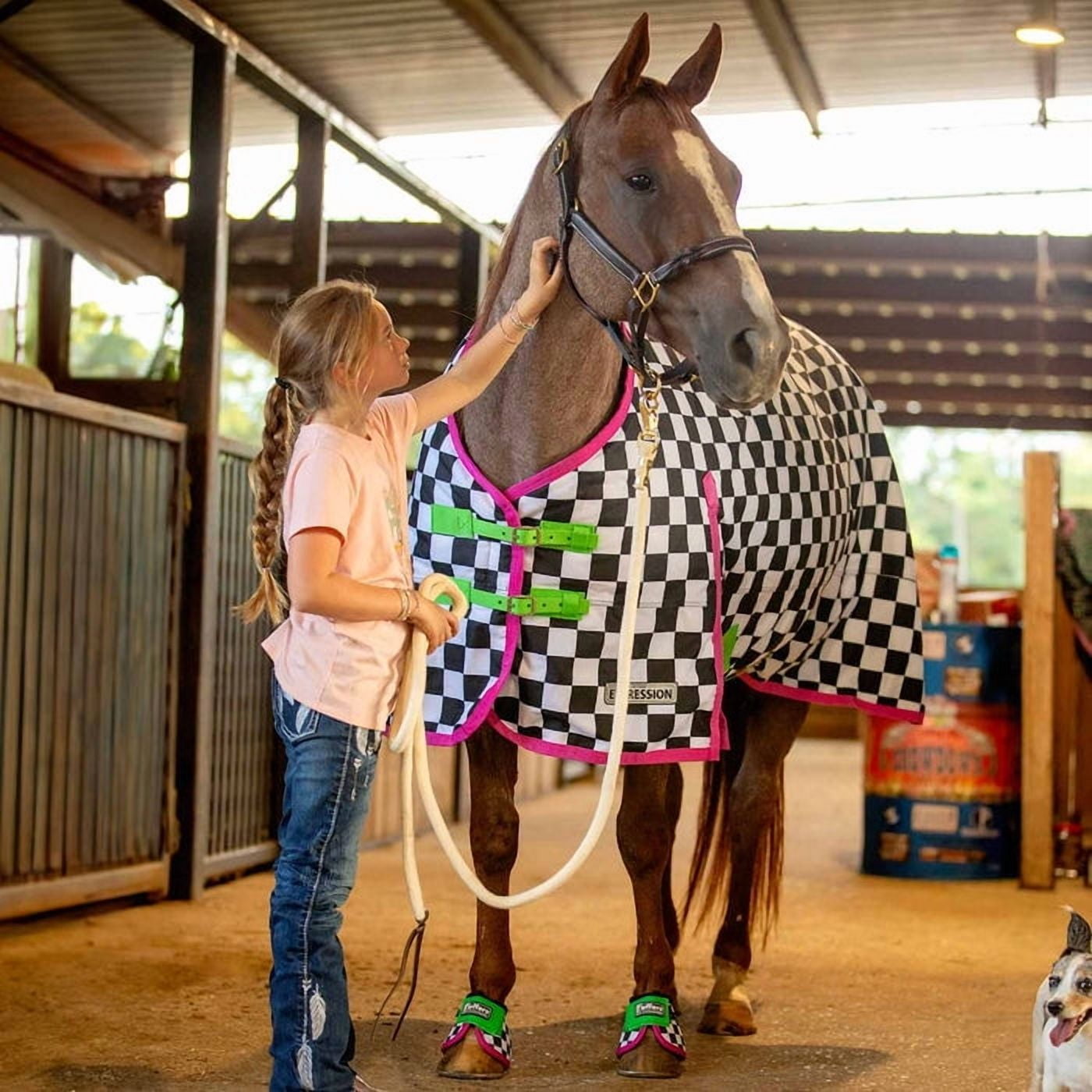 Jeffers Expression 1200 Denier Standard Neck Turnout Sheet, Skater Cowgirl, 81"- Waterproof, Breathable Horse Sheet with 0g Polyfill, No insulation - Ideal Protection for Wind & Rain, Light Weight