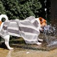 thumbnail image 1 of STRANDCHIC Medium Dog Towel with Strong Water Absorption and Convenient Hand Pocket for Bath Time, 1 of 7