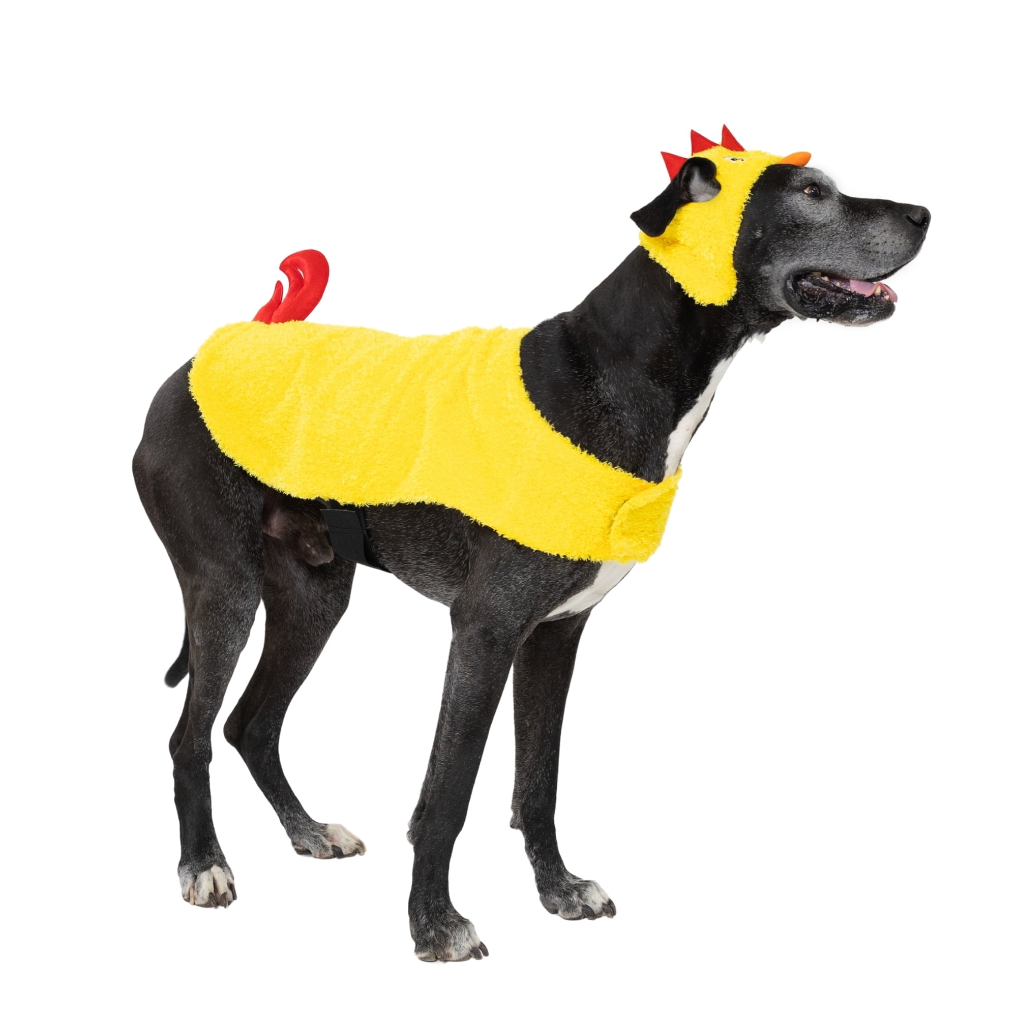 Vibrant Life Halloween Chicken Costume for Dogs, Yellow, Extra Large