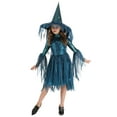thumbnail image 1 of Girl's Moonlight Spider Witch Costume, 1 of 9