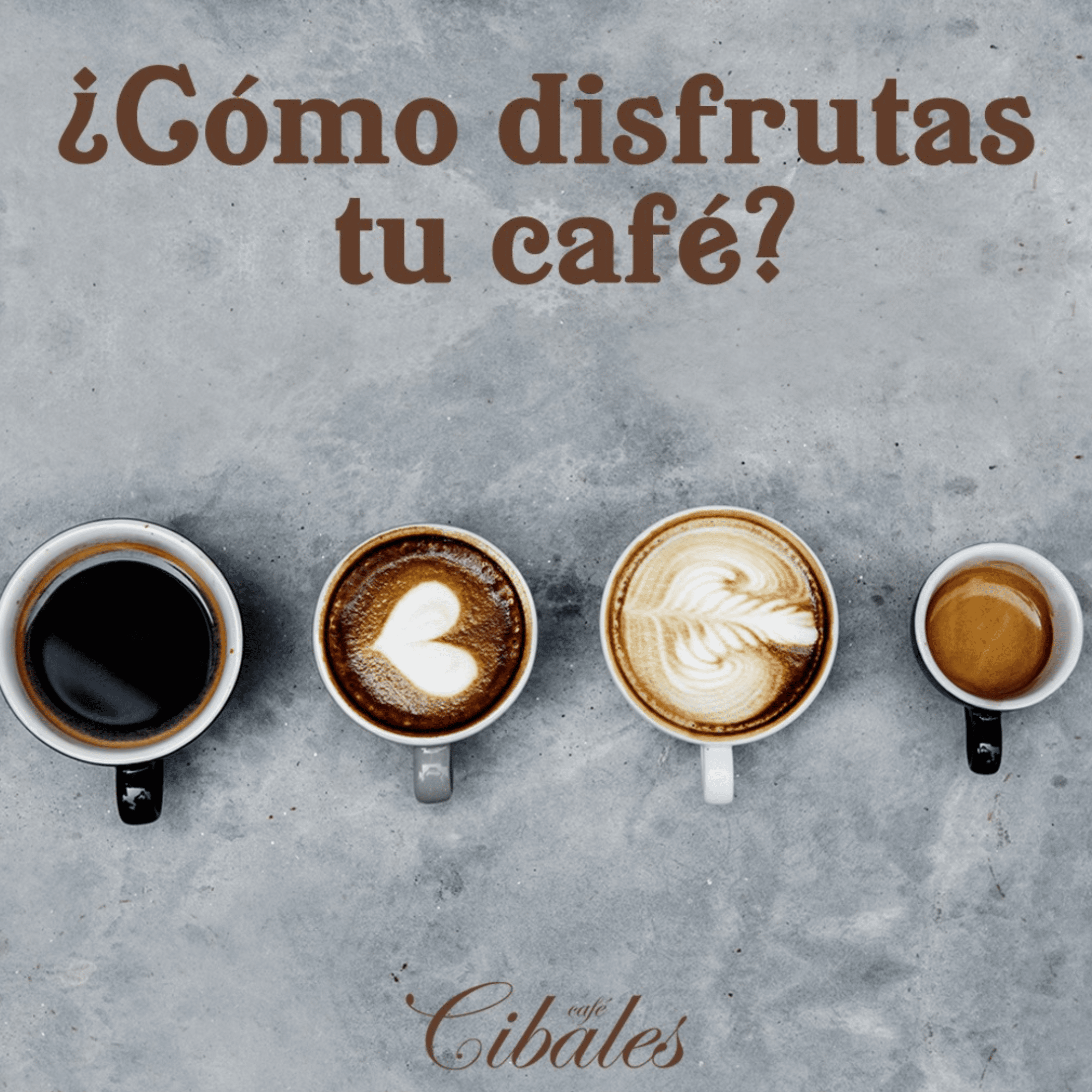 Café Cibales, Ground Premium Coffee, 100% Arabica, 10 oz