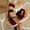 Red, variant on Women Shoes Women's Elastic Knit Two Strap Wedge Platform Sandals Spring Summer Open Toe Slip On Sandals for Women Wide Width Large Sizes Breathable Stretch Fabric Wood Grain Platform Non Slip