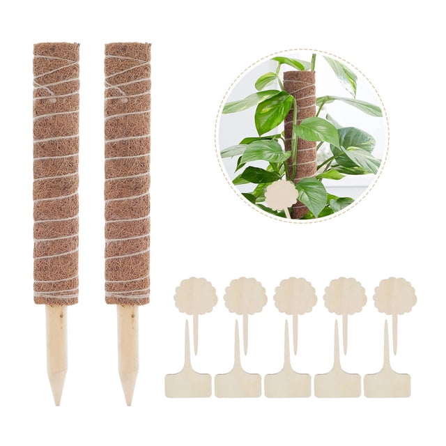 Poste de Soporte Shamjiam para Plantas Trepadoras de Coco 30 centimetros