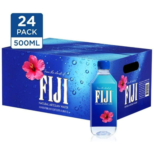 FIJI Eau Artésienne Naturelle Bouteilles de 16,9 Onces (Pack de 24)