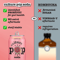 thumbnail image 5 of Culture Pop Soda Sparkling Probiotic Drink, Pink Grapefruit, 12 Pack, 12 Fl Oz Cans, 5 of 9