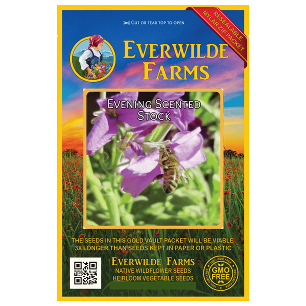 Everwilde Farms 1000 Evening Scented Stock Garden Flower Seeds Gold