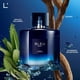 thumbnail image 3 of Set de perfumes Bleu Acqua + Bleu Night 100 ml c/u, 3 of 3