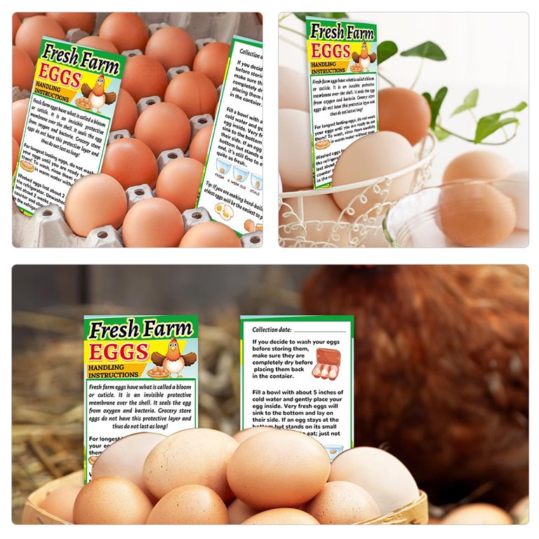 250pcs Farm Fresh Egg Care Cards Egg Handling Cards Chicken Eggs Handling Instructions - Walmart.com for Farm Fresh Egg Handling Instructions Printable Free Pdf