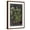 Brown Frame, variant on Art.com Vintage Botanical Chart VI Art Print by Vision Studio, 12" x 18"