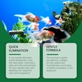 thumbnail image 6 of Sktrjpolfis Aquarium Water Purification Tablets | 35pcs Fish Tank Water Purifier Tablets, for Clear Aquarium Water Quality, 6 of 17