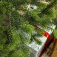 thumbnail image 2 of Sparse Artificial Christmas Tree with Steel Stand, 4306 Tips​, 2 of 9