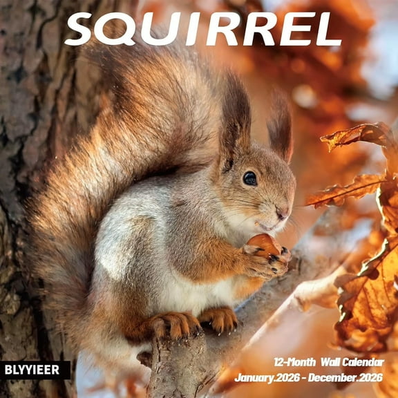 2026 Wall Calendar Squirrel Planner Calendar, Hangable Monthly Wall Calendar with Large Blocks for Organizing & Planning, Academic Schedule, Home, Office & family, Thick & Sturdy Paper