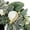 Green, variant on Member's Mark Pre-Lit Wreath Décor with Velvet Sash